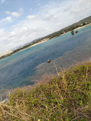 海風に揺れる草の歌