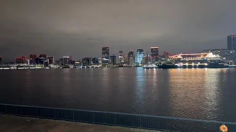 夜景と船が語る港の雰囲気