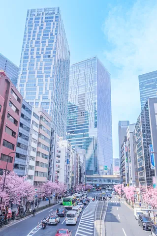 ビル群と桜が織りなす春景