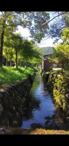 白川のせせらぎ