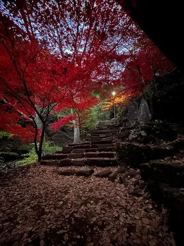 紅葉の秘密階段