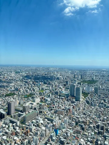 どこまでも続く大都市の眺め