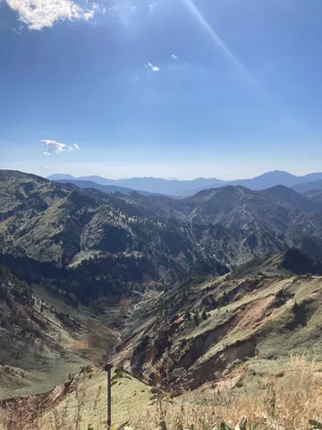 奥深い山の緑の絨毯