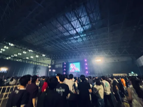 ライブ会場の熱気と光の演出