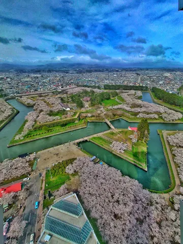 桜咲く五稜郭、圧巻の星形