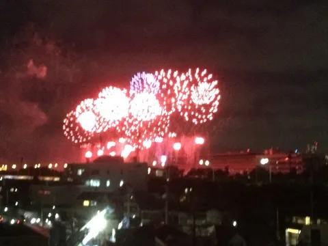 夜空に咲く、燃えるような光の華