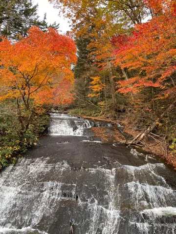 紅葉をくぐる水の階段
