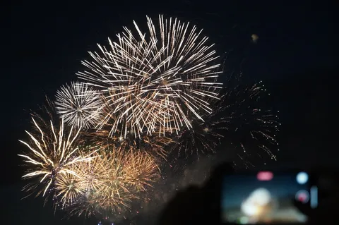 夜空に咲く大輪の華