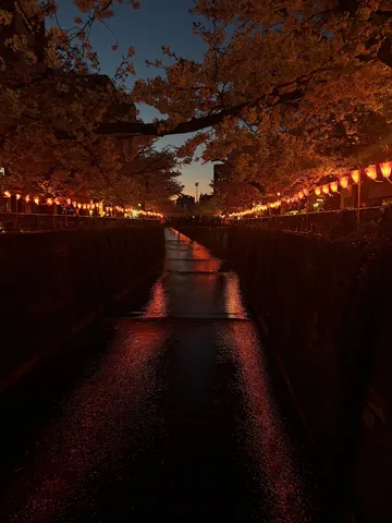雨夜に灯る水路