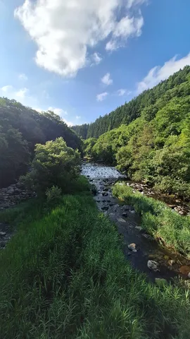 川風に揺れる緑の縫い目