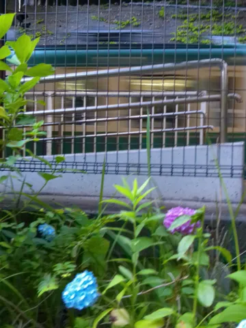 流れる車窓、彩る足元