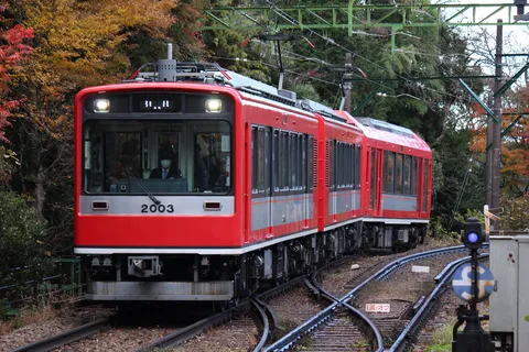 紅葉の中を駆ける赤い電車