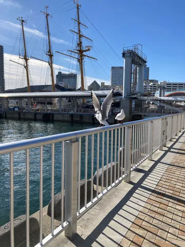 青空と港、カモメのひととき