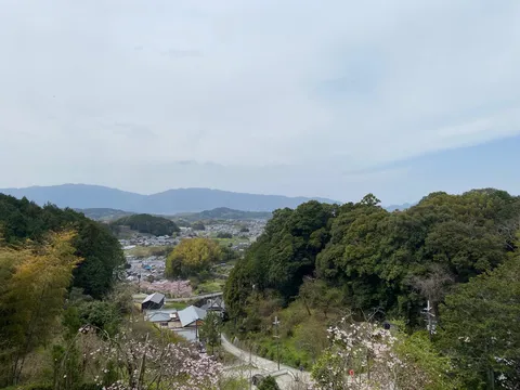 新緑と山並みのコントラスト