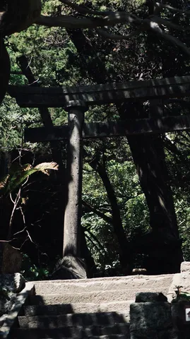 島の海辺の山奥