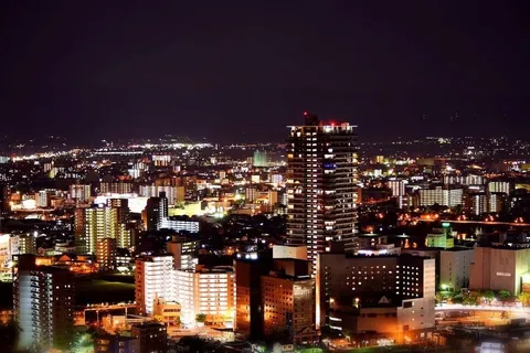 光の絨毯が広がる夜景