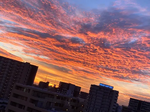 空を彩る紅蓮の雲海