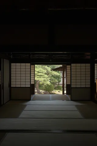 静寂と新緑のコントラスト