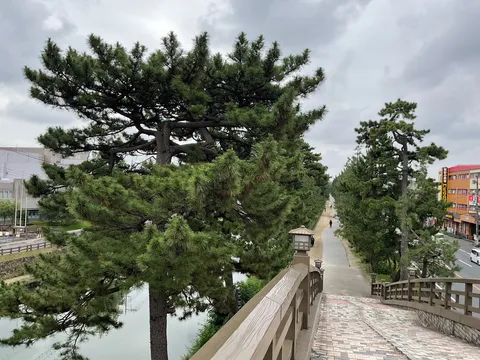 緑陰の小径、旅路の始まり