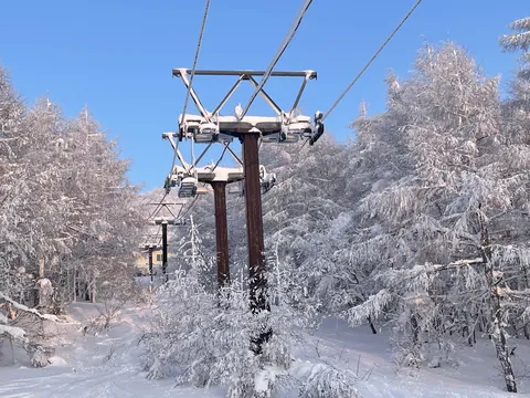 白銀の森と青空へ伸びるリフト