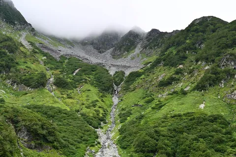 霧と緑の谷間風景