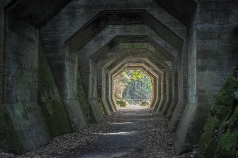光を望む八角の道