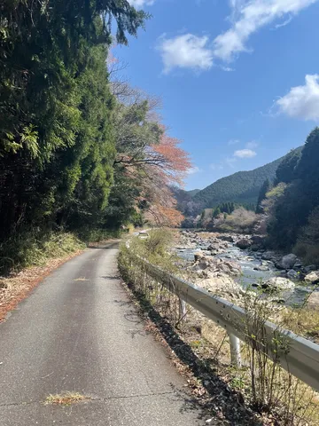 川沿いの静かな道