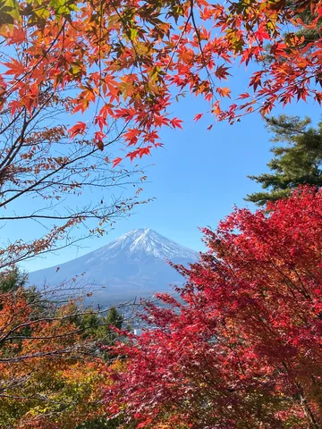 錦秋に映える富士山