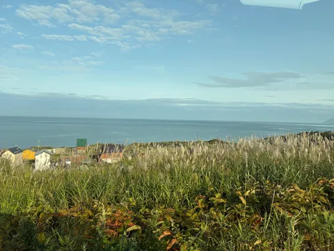 海辺の風と草の揺らぎ