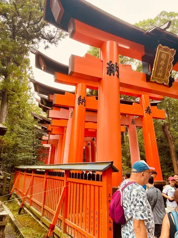 朱色のトンネル、いざ進め！