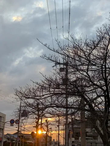 冬空に沈む夕陽と電線