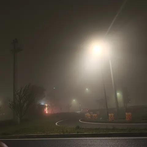 街灯が照らす霧の夜