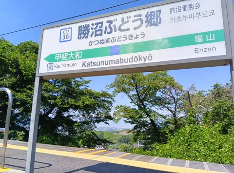 緑と空に映える駅看板