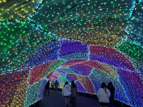 きらめく光の虹色トンネル