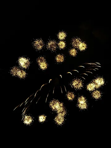 夜空に咲く黄金の花