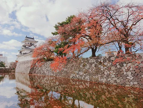 紅葉と白壁のコントラストが映える城