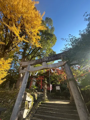 黄葉と鳥居、秋の誘い
