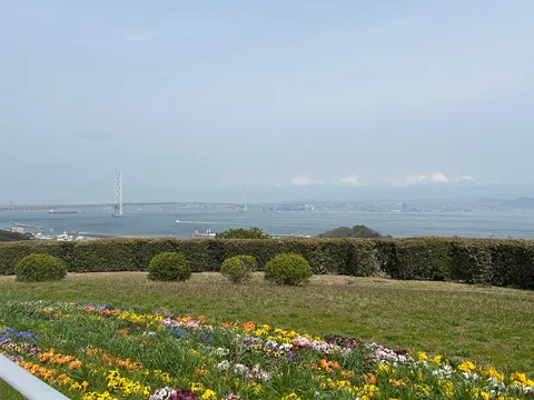 春の息吹と未来への架け橋