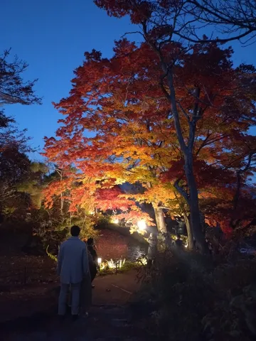 宵闇に浮かぶ、燃える紅葉