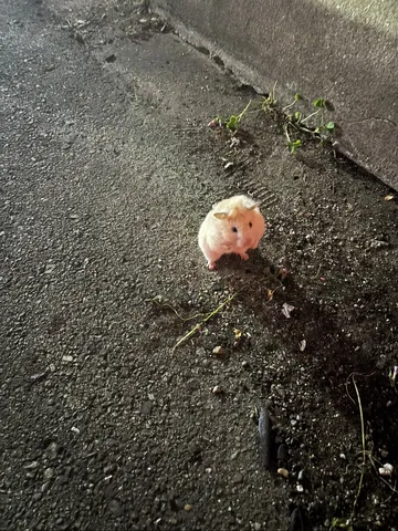 街角で見つける小さな勇気
