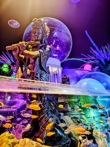 幻想的な水中世界と響く笛の音