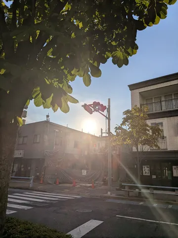 信号待ちの空と木漏れ日