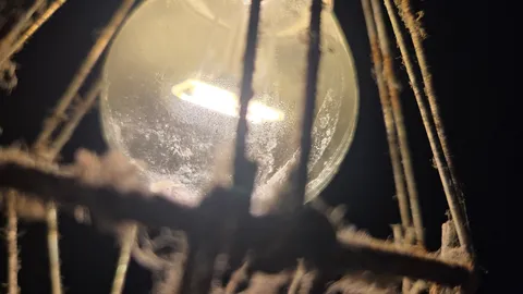 灯火と蜘蛛の巣の静寂