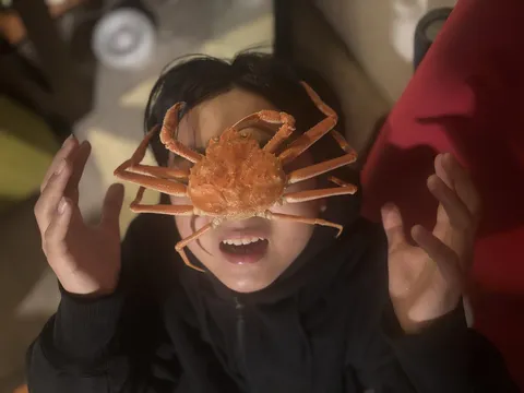 カニさんが顔に！？驚きの瞬間