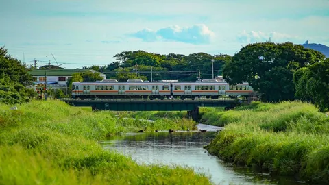 緑を渡る列車の風景