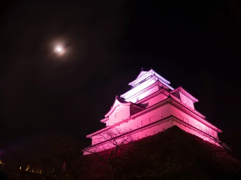 月夜に照らされるピンクの城