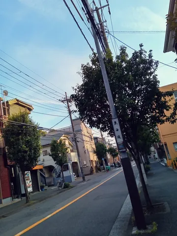午後の町並み、電線と緑のコントラスト