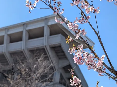 春の訪れ、コンクリートの陰影