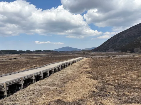 湿原を貫く木道の道