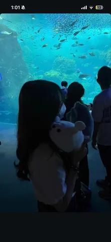 青い海景とぬいぐるみ